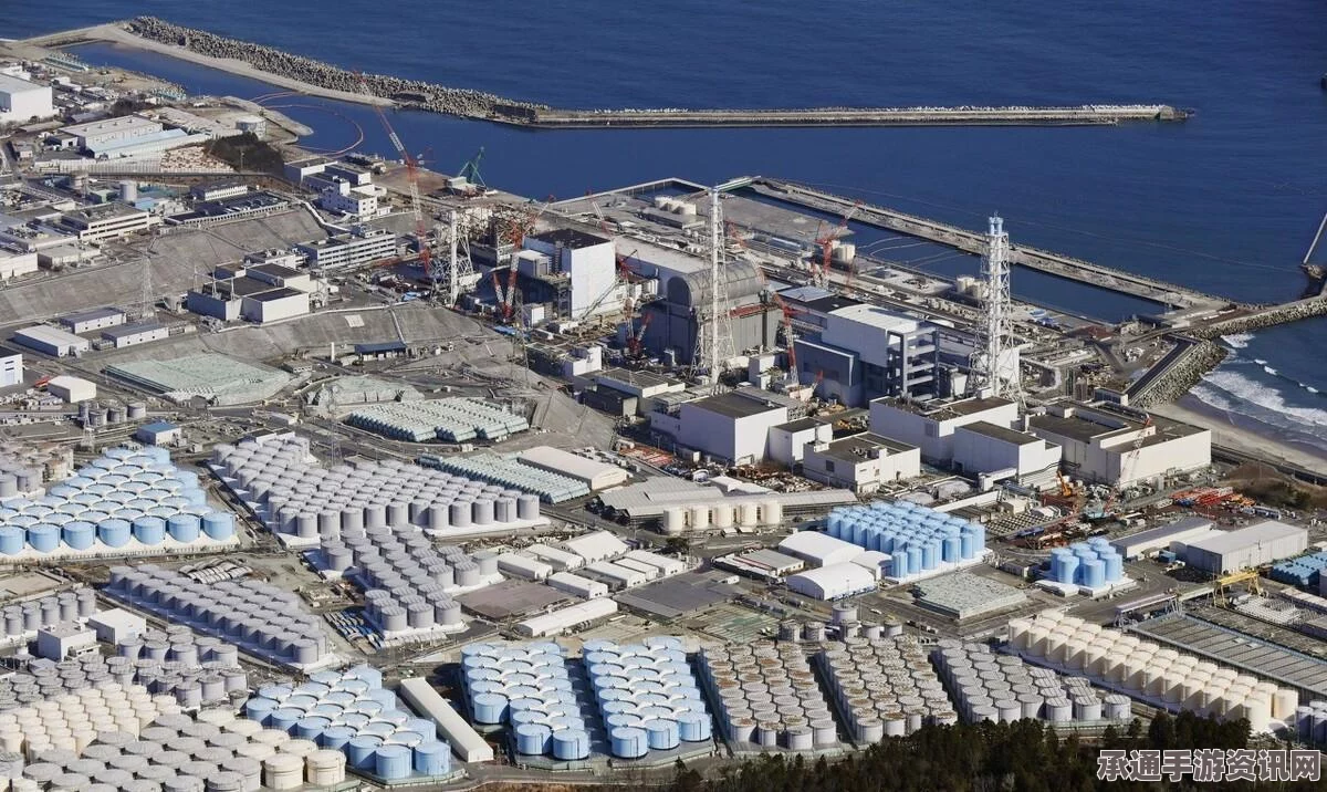 调查揭秘，日本是否涉嫌贿赂以获取2020年奥运会主办权—解析与反思