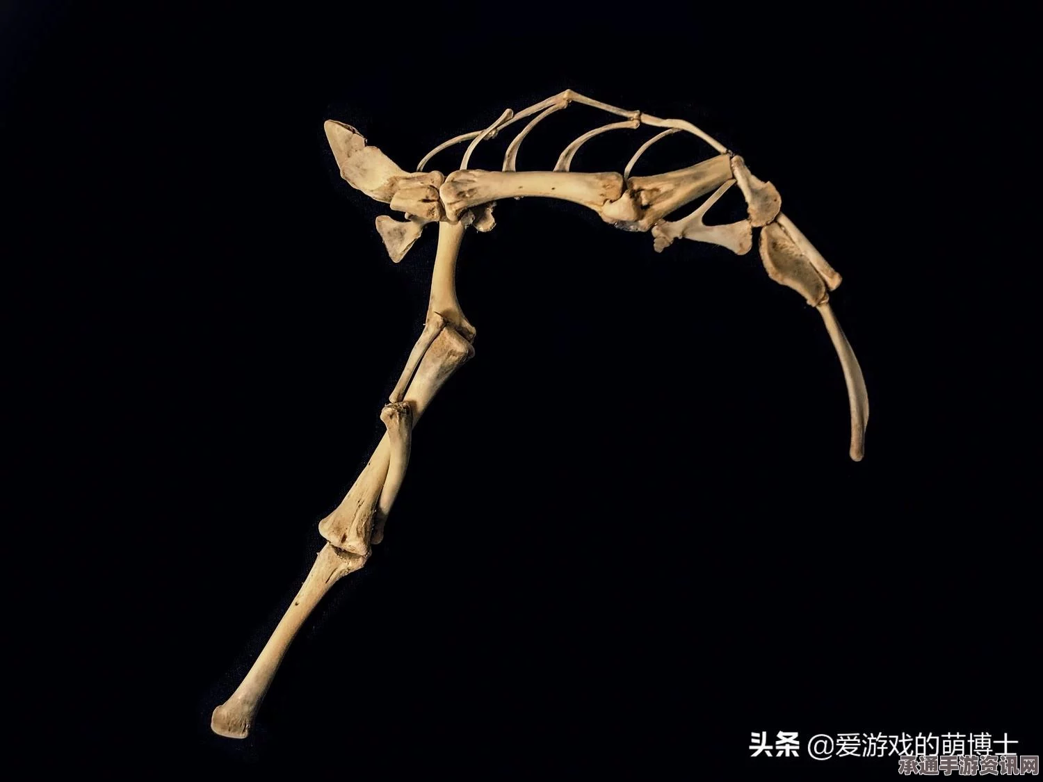逆水寒手游肯德基联动系列武器详解及技巧方法