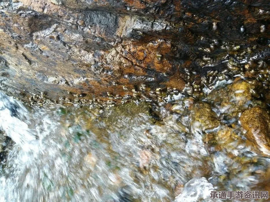 欢乐钓鱼大师，稀有鱼种与技巧方法一览