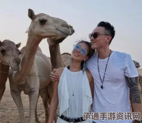 悉尼女子求婚服务公司揭秘，百分之百成功率技巧与方法解析，男性福音！
