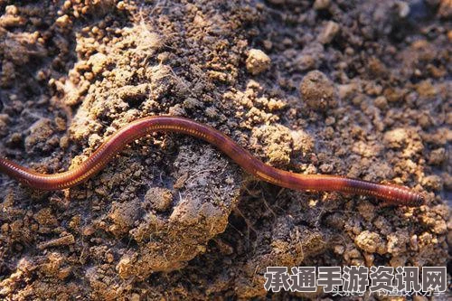 欢乐钓鱼大师隐藏奖励揭秘与技巧方法详解