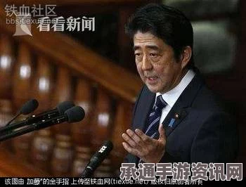 揭秘日本网络热词做人太安倍背后的含义与技巧方法