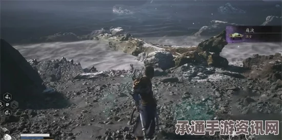 黑神话悟空苦海乌龟泪位置攻略详解，深度解析与技巧分享