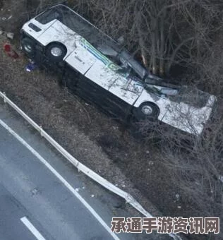 日本滑雪游客巴士翻覆事故，应对灾难的技巧与反思