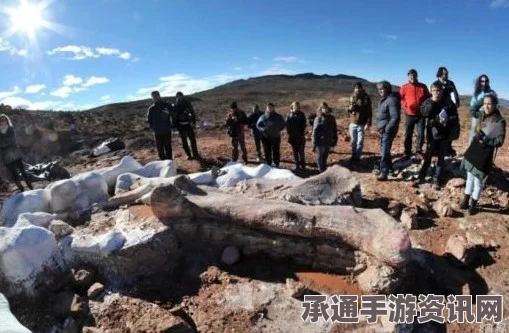 揭秘博物馆中的巨兽，泰坦巨龙化石展示技巧与解读（附图）
