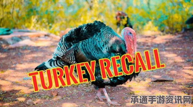 美国航班惊现火鸡，现场揭秘与应对技巧方法详解