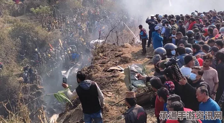 法国高速上侧翻的运猪车与捕猪行动，方法与技巧详解（附图）