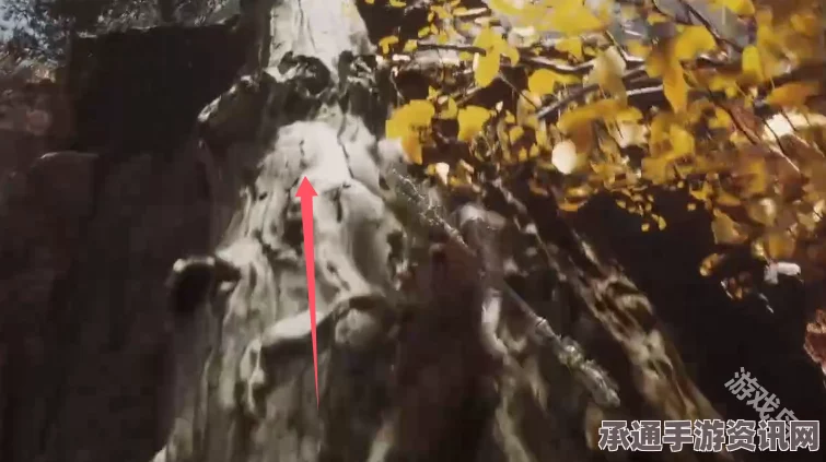 黑神话悟空，悟空金日乌珍玩攻略与获取技巧详解