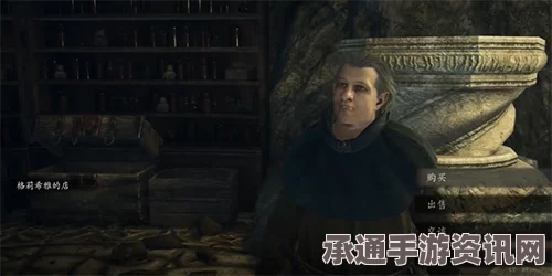 龙之信条2全能灵药获取攻略大全与技巧深度解析