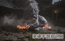 黑神话悟空，赤髯龙解锁攻略与技巧深度解析