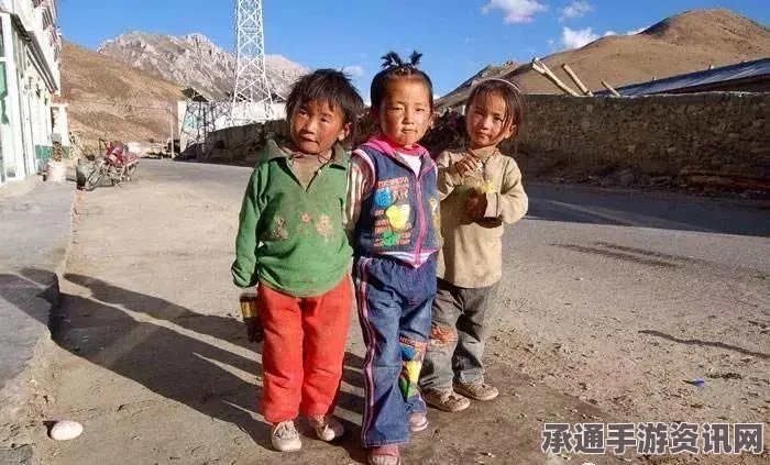 无感染区公民小队的角色与重要性，作用详解及技巧方法