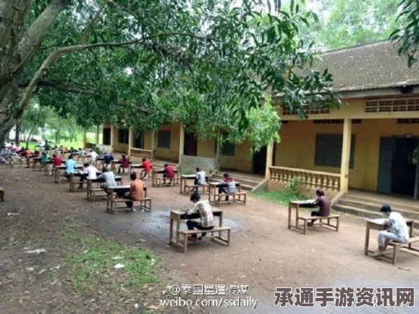 缅甸独特考试方式，树林里的防抄袭策略与技巧探讨
