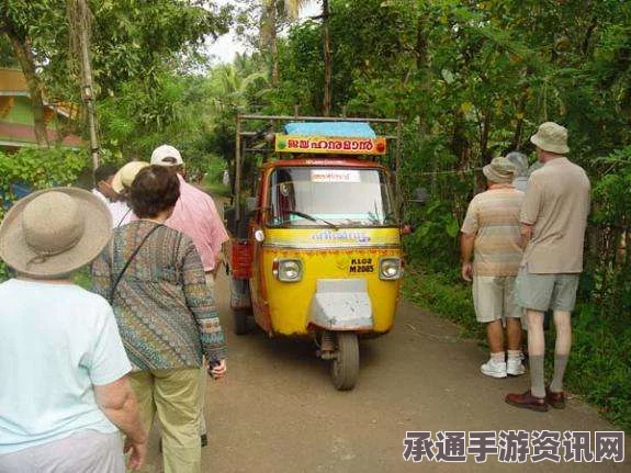 印度校车与吉普车相撞事故现场解析，事故应对与救援技巧