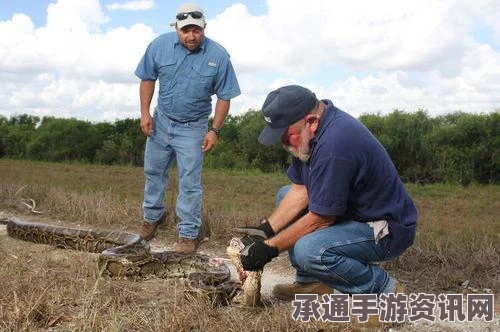 美国男子奇特偷窃方式，将蟒蛇藏匿裤裆内偷走（图文详解）