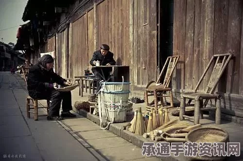 小镇悲剧深度揭秘，大米价格飙升导致数十人饿死，揭示应对困境的智慧之道