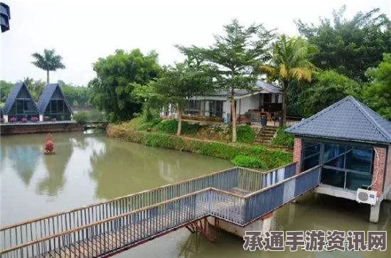 小镇悲剧揭秘，数月内数十人因高昂大米价格饿死，揭示应对困境的技巧方法