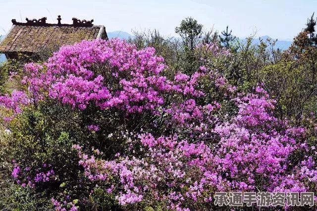 翠竹林中的黑神话悟空，探索与攻略技巧详解