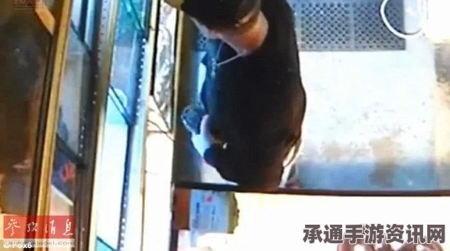 美国男子偷窃宠物店蟒蛇事件，应对技巧与防范方法探讨