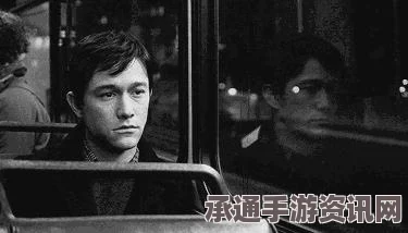 日本高速公路连撞事故现场揭秘，安全警钟长鸣，行车安全技巧解析