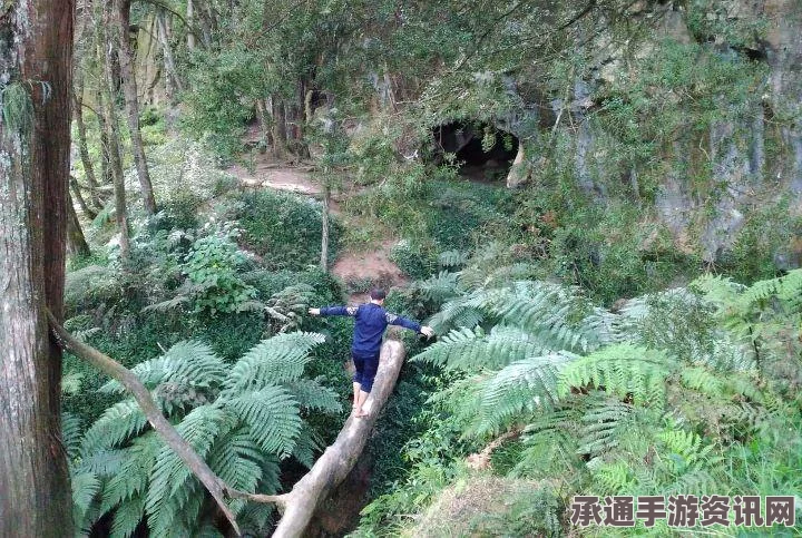 新西兰小龙虾群潮汐现象下的壮观景象与应对技巧方法（图）