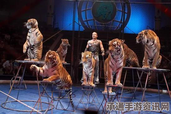 美国最大马戏团宣布退休所有大象，善待动物之路在行动