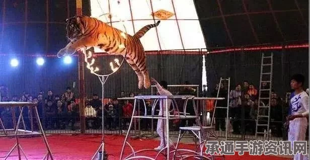 美国最大马戏团宣布退休所有大象，善待动物之路在行动