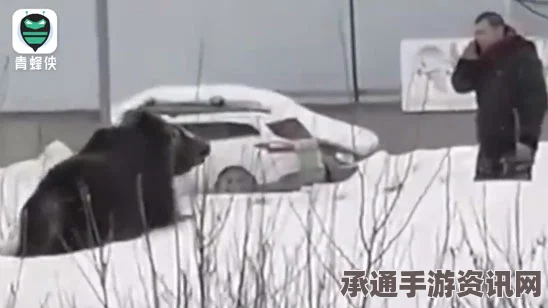 警方处理小偷，巧妙用香蕉助其排出所盗金饰的巧妙方法