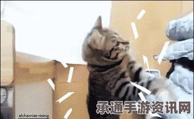 怪兽快跑，特色内容详解与技巧方法分享