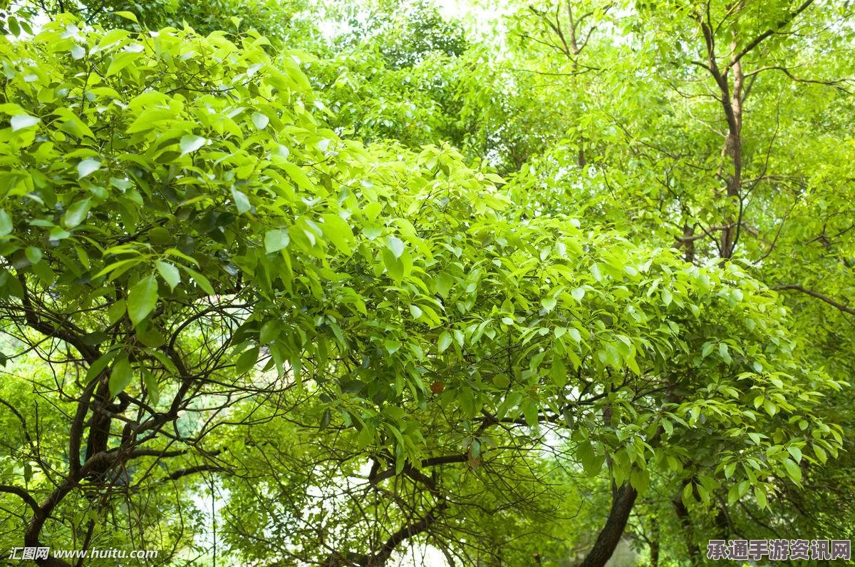黑神话悟空泡酒物困龙须攻略详解，获取方法与技巧解析