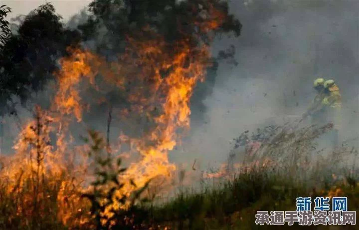 澳大利亚西南林火肆虐，现场情况及应对指南