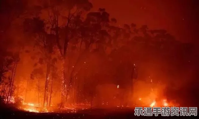 澳大利亚西南林火肆虐，现场直击与应对技巧