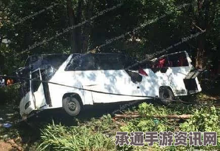 墨西哥巴士坠谷事件，事故教训与应对技巧探讨