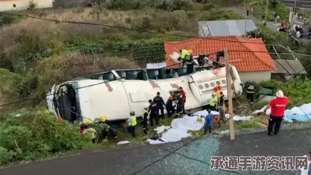 墨西哥巴士坠落峡谷事件，揭示事故背后的教训与应对技巧