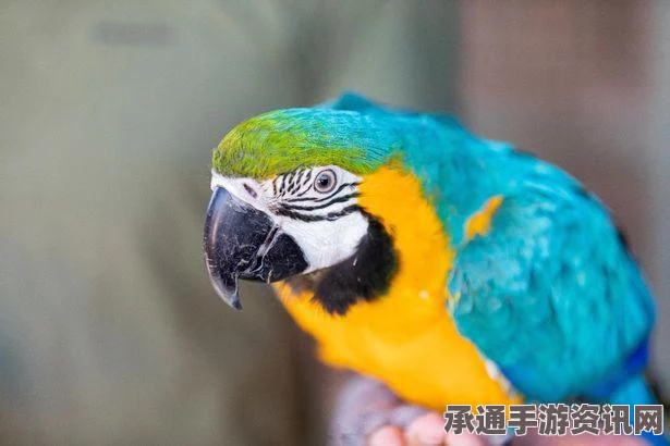 阿根廷男子长期性侵女儿引发社会震惊，案件细节与反思