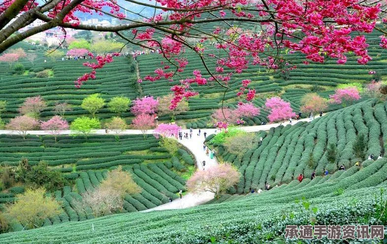 植物大战僵尸杂交版图鉴大全，全杂交植物详解及攻略技巧