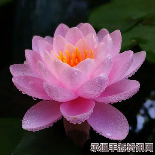植物大战僵尸杂交版图鉴，全杂交植物详解与技巧方法