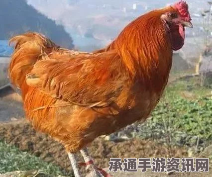 植物大战僵尸杂交版图鉴，全杂交植物详解与技巧方法