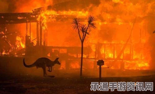 澳大利亚西部大火火光映天，应对之道与深刻反思