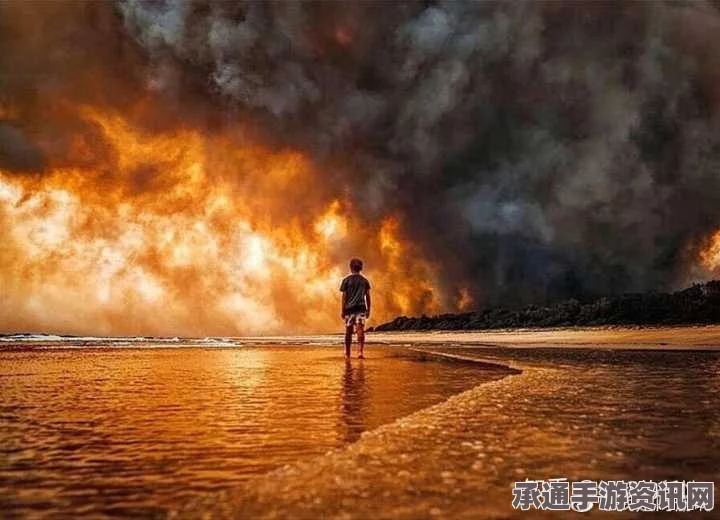 澳大利亚西部大火现场，火光映天，应对之道与反思