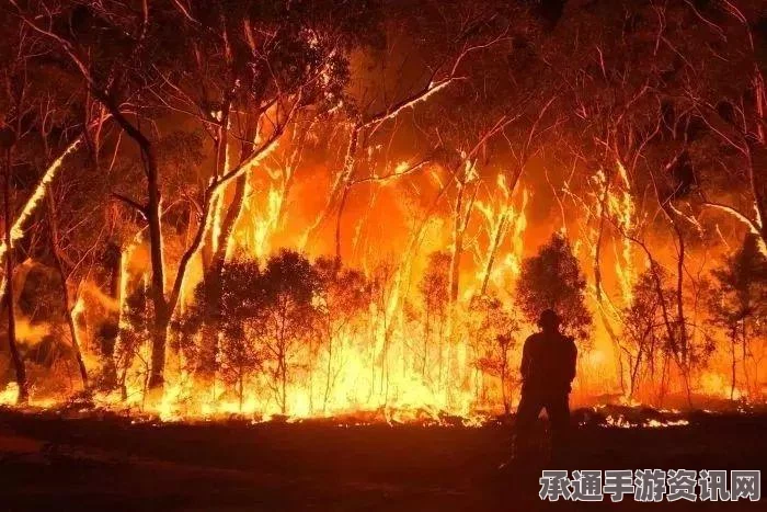 澳大利亚西部大火现场，火光映天，应对之道与反思