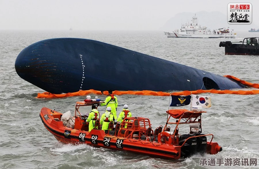 日本客船在韩国附近海域遭遇鲸鱼撞击，多人受伤—事故解析及应对技巧
