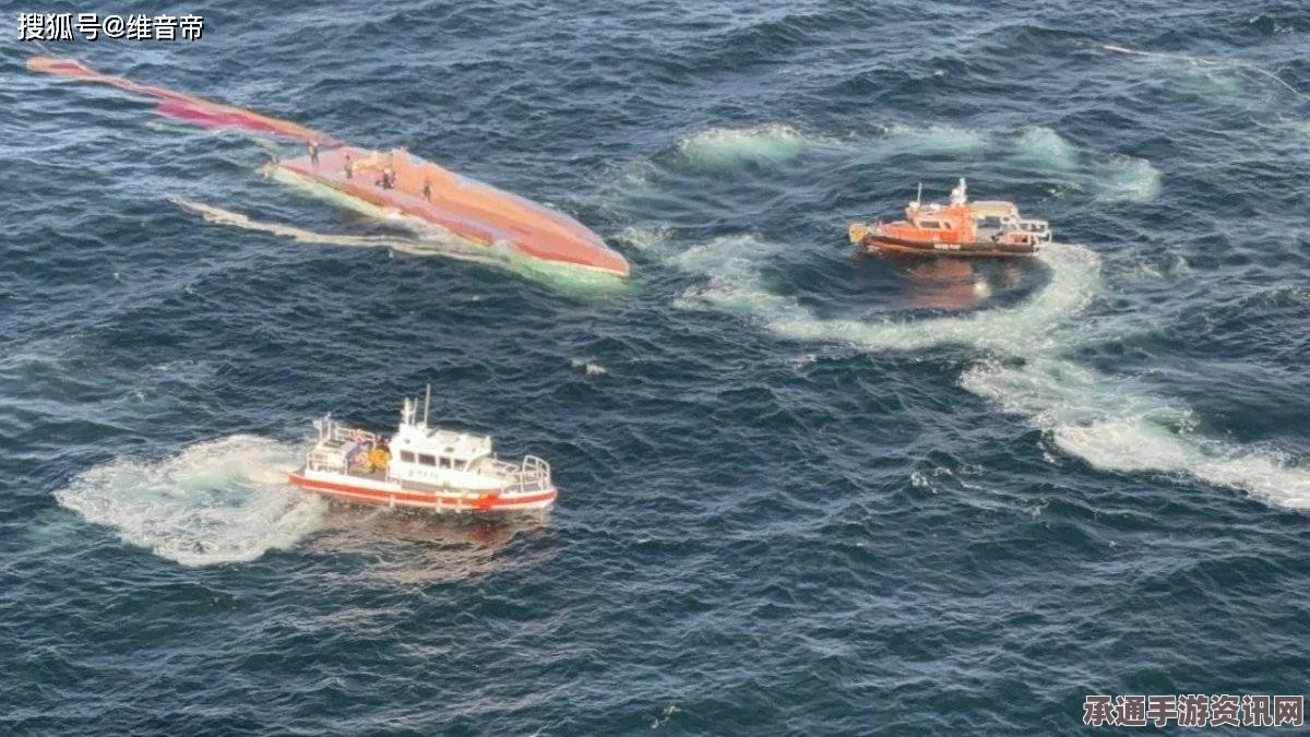 日本客船在韩国附近海域遭遇鲸鱼撞击，多人受伤—事故解析及应对技巧