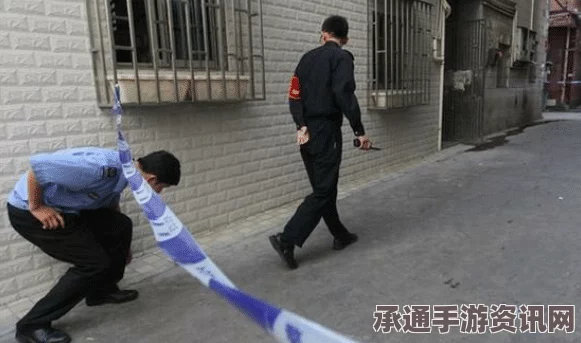 德国七旬老翁肢解妻子并藏匿行李箱内投湖自杀事件，深度探究与反思