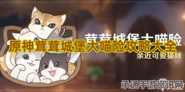 原神茸茸城堡大喵险第五关攻略大全，技巧与策略分享