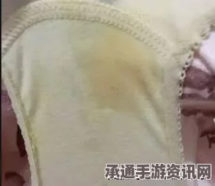 揭秘日本男子对女性原味内裤的狂热，背后的故事与应对方法