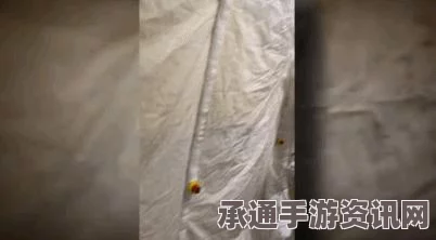 美国一公司实行如厕打卡制度，技巧方法与理解应对