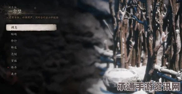 黑神话，悟空要紧物事识蕴获取攻略及技巧解析