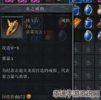龙之信条2，戒指属性深度解析与技巧方法一览