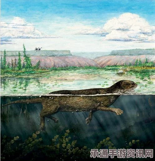 星之海多卡利亚湖底彩虹海螺获取攻略与技巧解析，探索海螺25的秘密世界