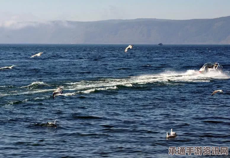 星之海多卡利亚湖底彩虹海螺攻略详解，获取方法与技巧解析